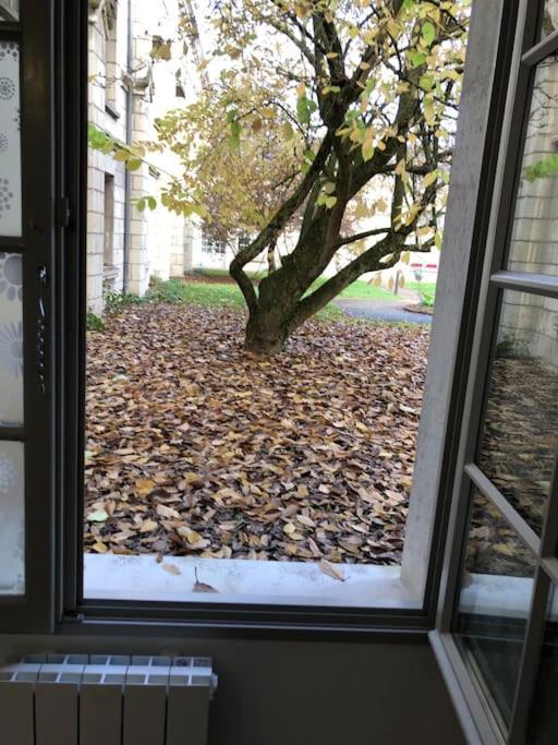 Superbe Appartement Saumur Exterior photo